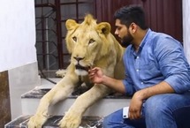 巴基斯坦兄弟飼養(yǎng)雄獅帶其駕車出游來自巴基斯坦卡拉奇的兩兄弟哈姆撒·侯賽因(Hamzah)和哈桑·侯賽因(Hassan Hussain)有著一位非傳統(tǒng)室友：一頭名叫辛巴(Simba)的成年非洲雄獅。這對熱愛動物的兄弟甚至還開車帶辛巴一起旅行。【詳細(xì)】國際新聞｜國際熱圖