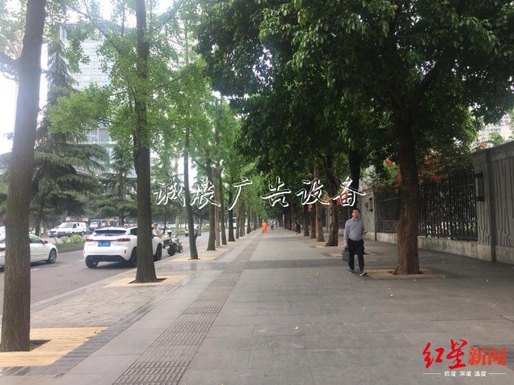 成都街頭垃圾箱消失？宣傳欄 城管委：減量調整，已拆9001個