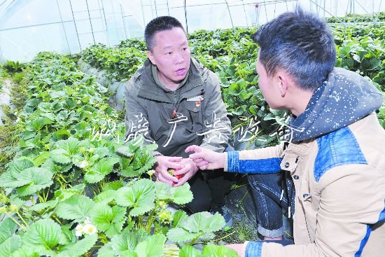 丹巴“網紅村”成名記廣告垃圾箱：新媒體搭臺全域旅游唱戲