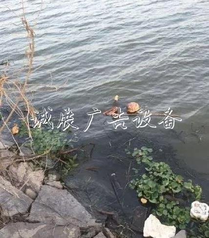 嚇人！這是什么垃圾？打文化宣傳欄開垃圾箱后差點兒魂兒也沒了