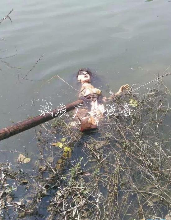 嚇人！這是什么垃圾？打文化宣傳欄開垃圾箱后差點兒魂兒也沒了