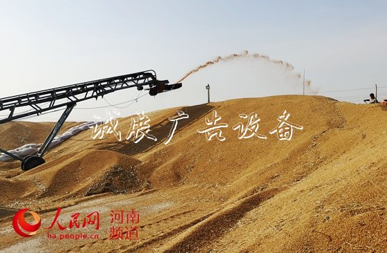 讓"中國(guó)碗"多盛"河南糧"　　8600萬畝小麥顆粒歸倉(cāng)，今年又是一個(gè)豐收年！近年來，河南糧食連年豐收，總產(chǎn)量穩(wěn)定在1300億斤左右。全國(guó)1/10的糧食、超過1/4的小麥均產(chǎn)自這里，“糧倉(cāng)”實(shí)至名歸。……【詳細(xì)】